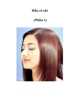 Tài liệu Ðầu có chí (Phần 1) pptx