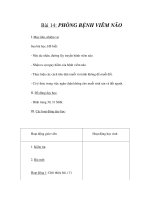 Tài liệu Gíao án 6 - PHÒNG BỆNH VIÊM NÃO pdf