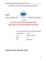 PHÁT TRIỂN tín DỤNG bất ĐỘNG sản tại các NGÂN HÀNG THƯƠNG mại TRÊN địa bàn THÀNH PHỐ hồ CHÍ MINH 