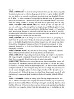 Tài liệu Từ điển chứng khoán Chủ đề M doc