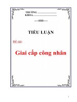 Tài liệu Tiểu luận:
