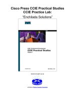 Tài liệu Cisco Press CCIE Practical Studies CCIE Practice Lab: “Enchilada Solutions” pdf