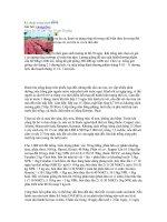 Tài liệu Kỹ thuật trồng hành docx