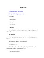 Tài liệu Sao đen pptx