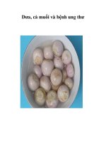 Tài liệu Dưa, cà muối và bệnh ung thư pptx