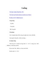 Tài liệu Luồng pdf