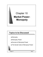Tài liệu Market Power: Monopoly ppt