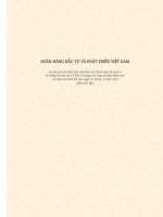 Tài liệu Ngân hàng Đầu tư và Phát triển Việt Nam doc