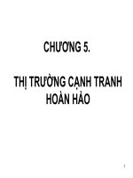 Tài liệu Bài giảng Kinh tế vi mô_Chương 5 pdf
