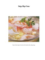 Tài liệu Súp Hạt Sen doc