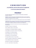 Tài liệu The Brussels Convention pdf