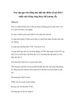 Tài liệu Trợ cấp gạo cho đồng bào dân tộc thiểu số tại chỗ ở miền núi trồng rừng thay thế nương rẫy docx