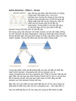 Tài liệu Active Directory - Forest doc