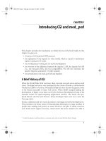 Tài liệu Practical mod_perl-CHAPTER 1: Introducing CGI and mod_perl pptx