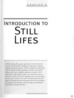Tài liệu The Art Of Animal Drawing - Introduction To Still Lifes doc