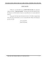 ỨNG DỤNG MAPLE TRONG dạy và học TOÁN 