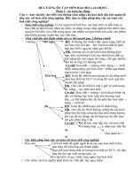 Tài liệu Đề cương ôn tập môn Bảo hộ lao động docx