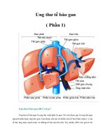Tài liệu Ung thư tế bào gan ( Phần 1) doc