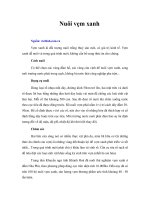 Tài liệu Nuôi vẹm xanh ppt