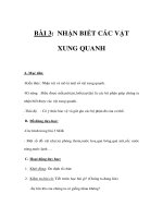 Tài liệu TNXH 1 - BÀI 3: NHẬN BIẾT CÁC VẬT XUNG QUANH pptx