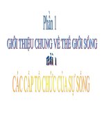 Tài liệu Các cấp tổ chứ của thế giới sống doc