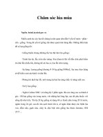 Tài liệu Chăm sóc lúa mùa doc