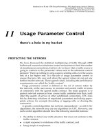 Tài liệu Giới thiệu về IP và ATM - Thiết kế và hiệu suất P11 pptx