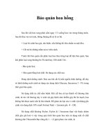 Tài liệu Bảo quản hoa hồng doc