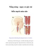 Tài liệu Nắng nóng - nguy cơ gây tai biến mạch máu não pptx