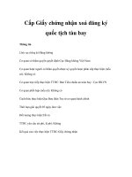 Tài liệu Cấp Giấy chứng nhận xoá đăng ký quốc tịch tàu bay docx