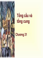 kinh tế vĩ mô-lý thuyết kinh tế vĩ mô về một nền kinh tế mở