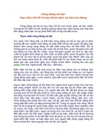 Tài liệu Công bằng xã hội­ - Mục tiêu cốt lõi trong chính sách xã hội của Đảng pdf