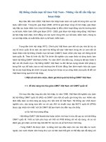 Tài liệu Hệ thống chuẩn mực kế tóan Việt Nam - Những vấn đề cần tiếp tục hòan thiện doc