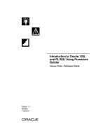 Tài liệu introduction to oracle: SQL and PL / SQL using procedure builder pdf