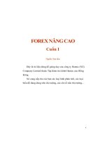 Forex nâng cao 1