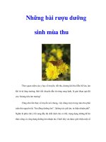 Tài liệu Những bài rượu dưỡng sinh mùa thu pdf