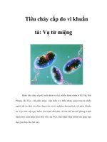 Tài liệu Tiêu chảy cấp do vi khuẩn tả: Vạ từ miệng docx