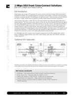 Tài liệu 2 Mbps DSX Front Cross-Connect Solutions 600 mm 2 Mbps DSX Product Family pptx