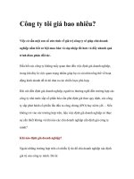 Tài liệu Công ty tôi giá bao nhiêu? pdf