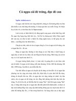 Tài liệu Cá ngựa cái đẻ trứng, đực đẻ con pdf