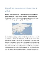 Tài liệu Bí quyết xây dựng thương hiệu tại châu Á phần2 ppt