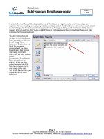 Tài liệu Build your own: E-mail usage policy docx