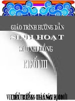 Tài liệu Giáo trình hướng dẫn sao nhi đồng lớp 3 ppt