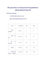 Tài liệu Bảo quản tinh cá tra (Pangasianodon hypophthalmus) dài hạn bằng nitơ lỏng (P2) III. doc