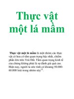 Tài liệu Thực vật một lá mầm ppt