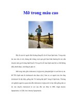 Tài liệu Mỡ trong máu cao ppt