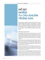 Tài liệu HỒ SƠ NHIỄM THỰC CẦU KHUẨN TRONG SỮA pdf