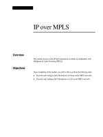 Tài liệu IP over MPLS pptx