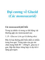 Tài liệu Đại cương về Glucid (Các monosacarid) doc