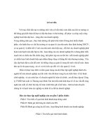 Tài liệu Báo cáo thực tập nghề nghiệp pptx